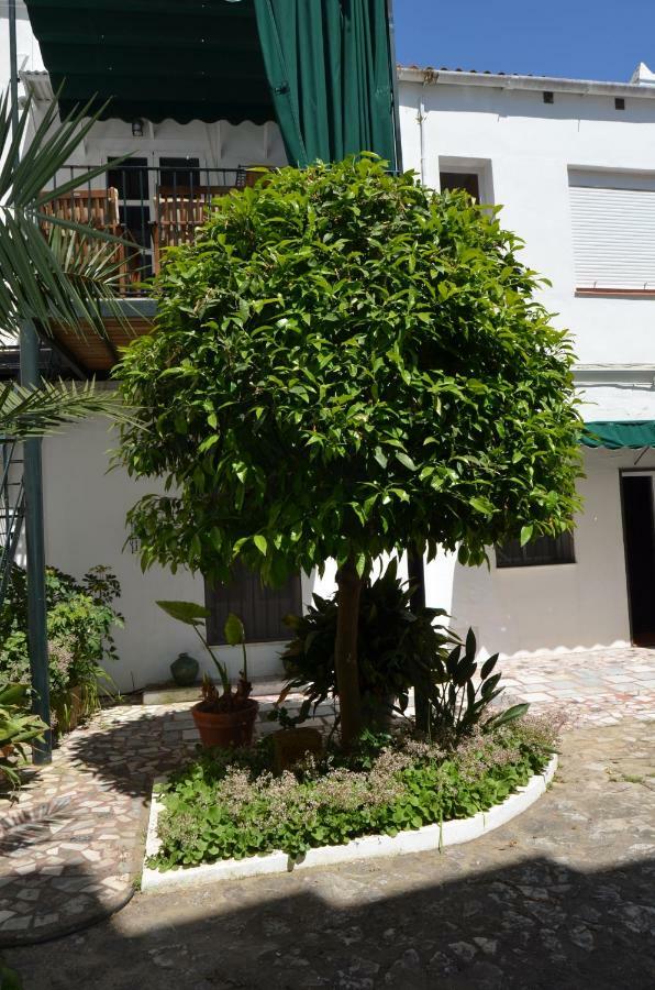 Casa Miler *