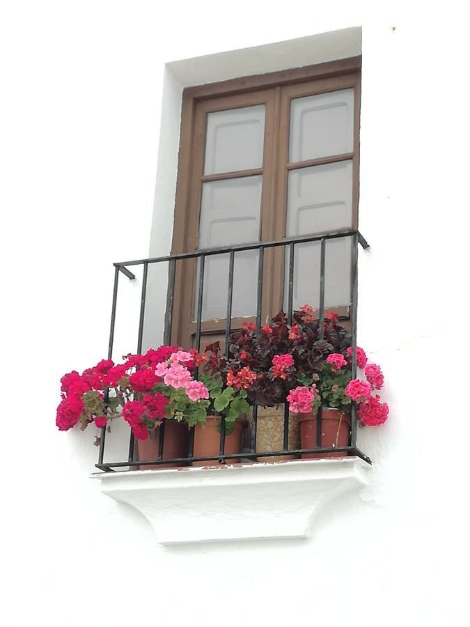 Guest house El Duende Del Tejar