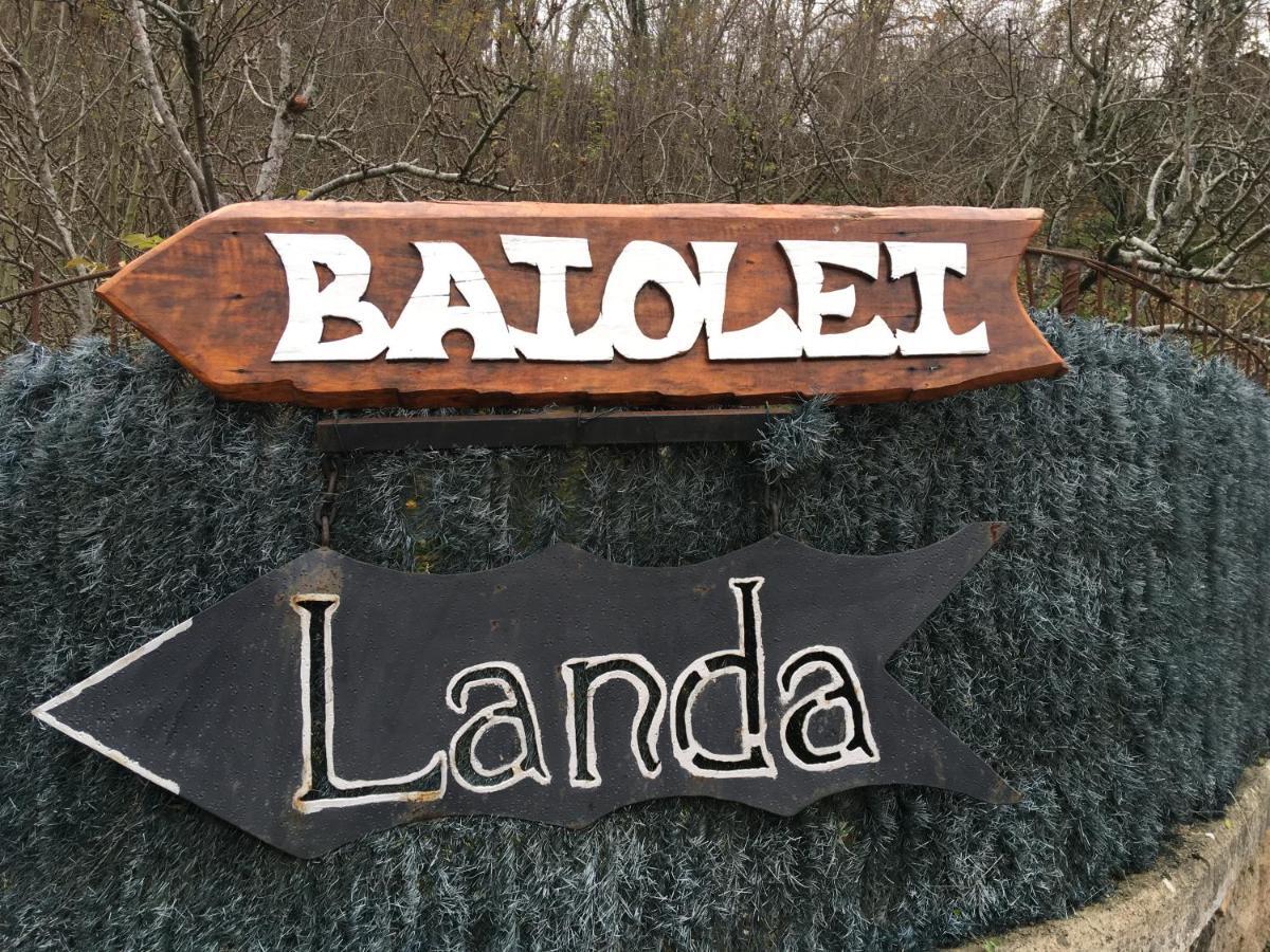 Baiolei Azpeitia