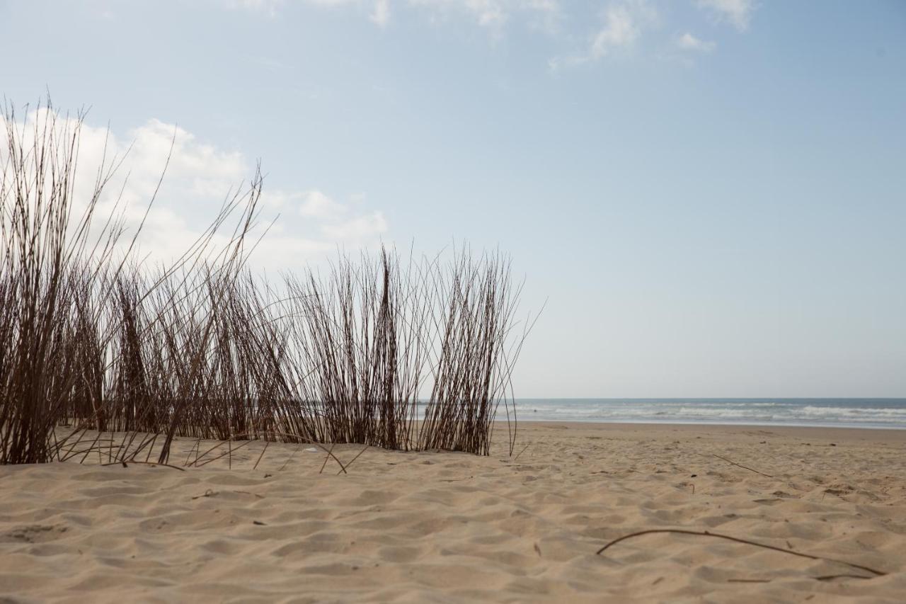 Apartment Coquina Mrz Barbate