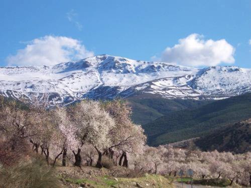 Hospederia Del Zenete La Calahorra