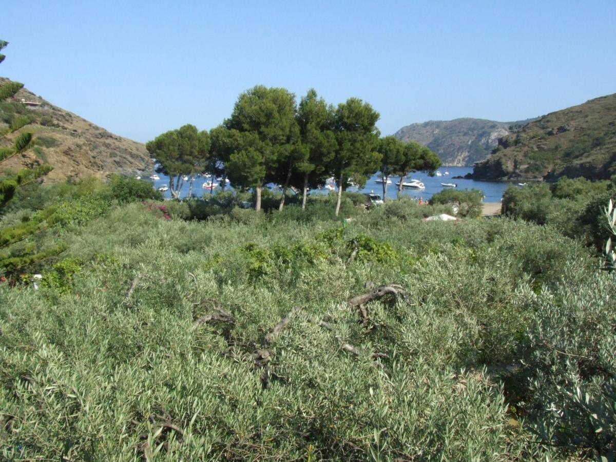 Hotel Cala Joncols 2*