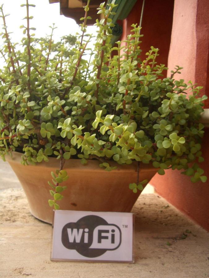 Agroturismo Sa Rota D' En Palerm Farm stay Lloret de Vistalegre