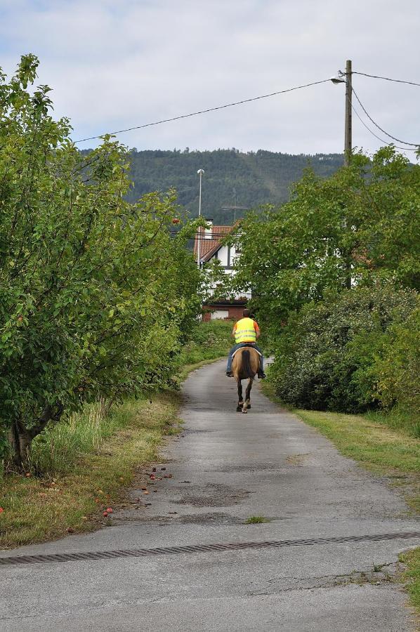 Agroturismo Iabiti-aurrekoa Country house *