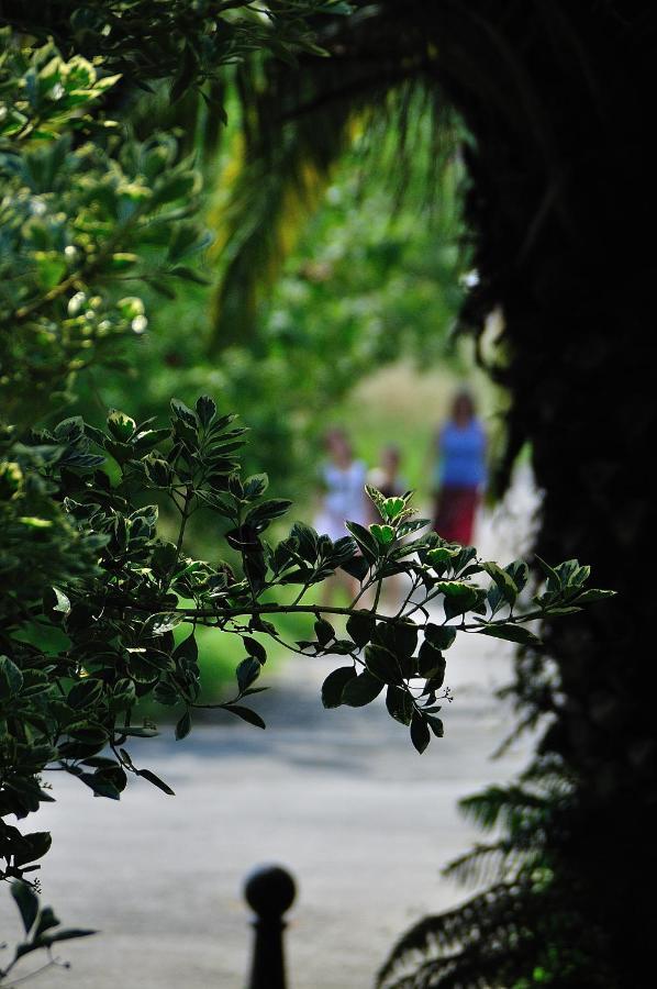 Agroturismo Iabiti-aurrekoa Zamudio