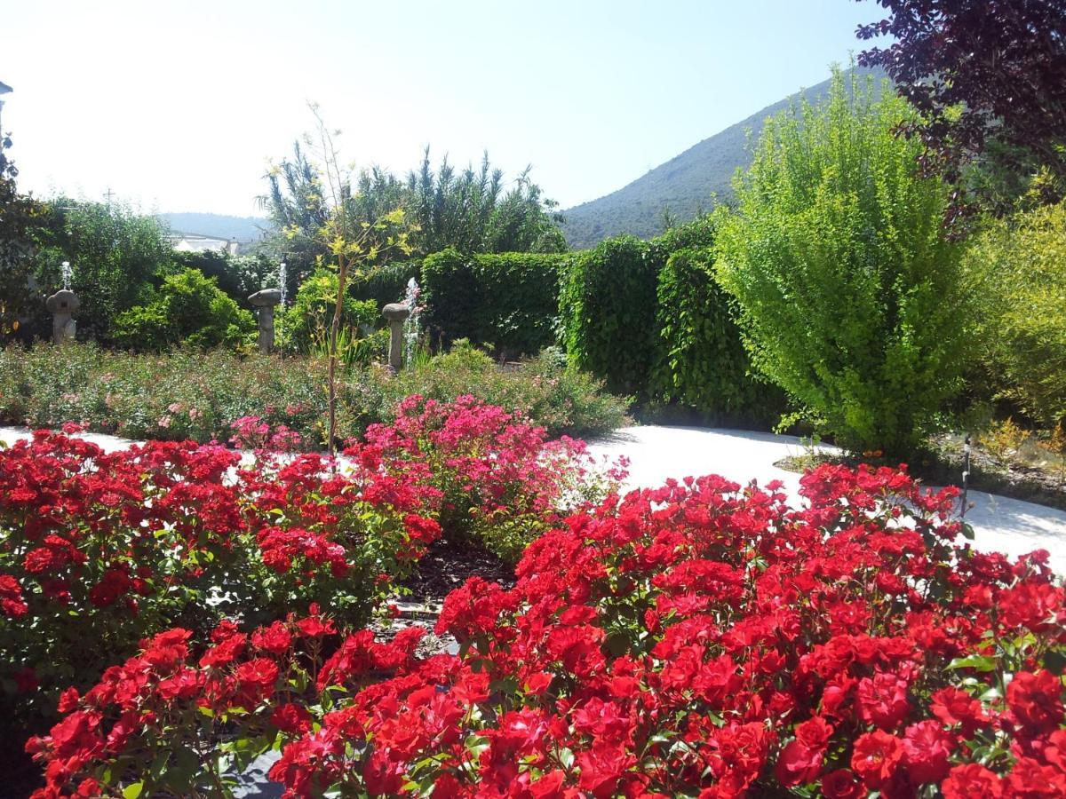 Amalurra Granada Hotel 2*