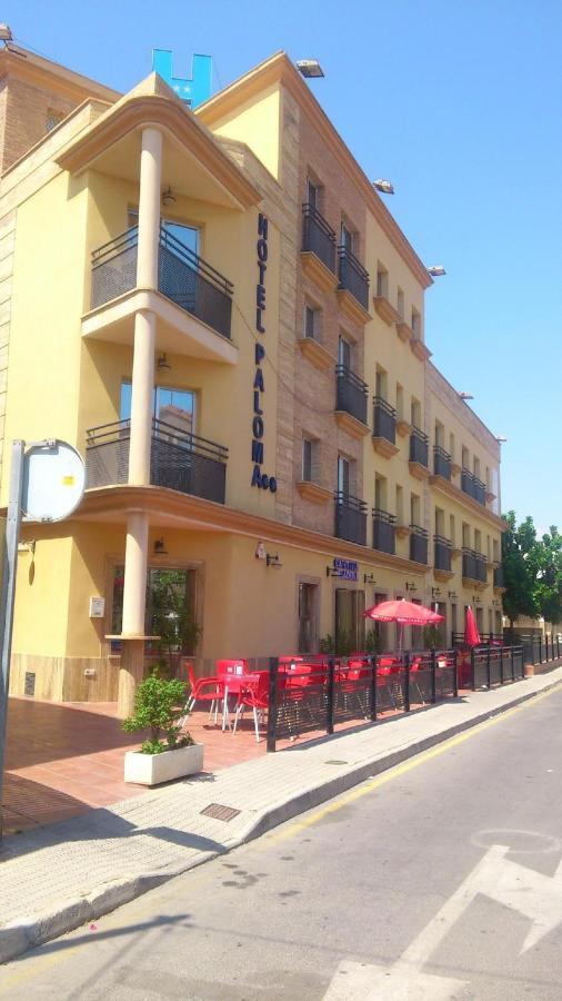 Paloma Hotel