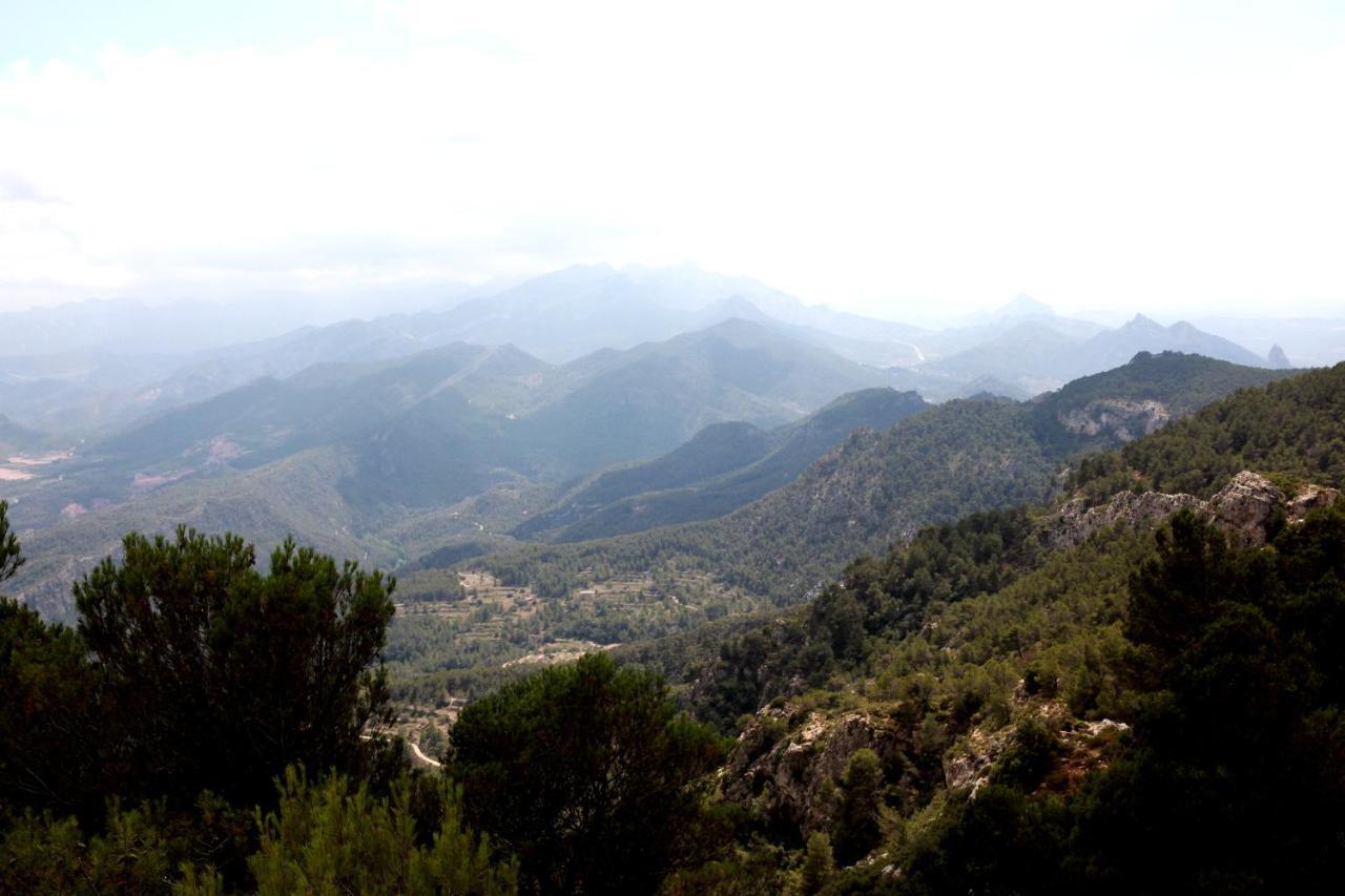Monrural Apartamento 4*