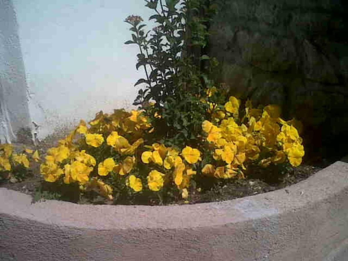 Villa Colmenar *