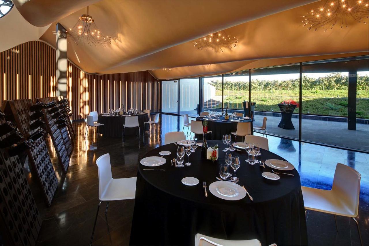 Mastinell Cava & Boutique By Olivia Collection Vilafranca del Penedès