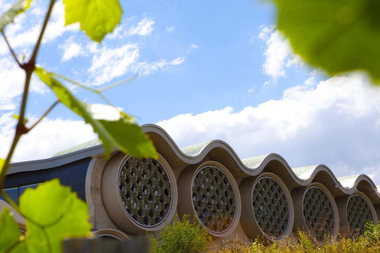Mastinell Cava & Boutique By Olivia Collection Vilafranca del Penedès