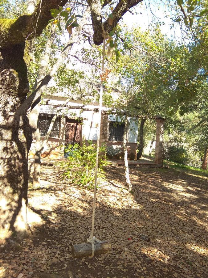 Genal Camping Algatocín