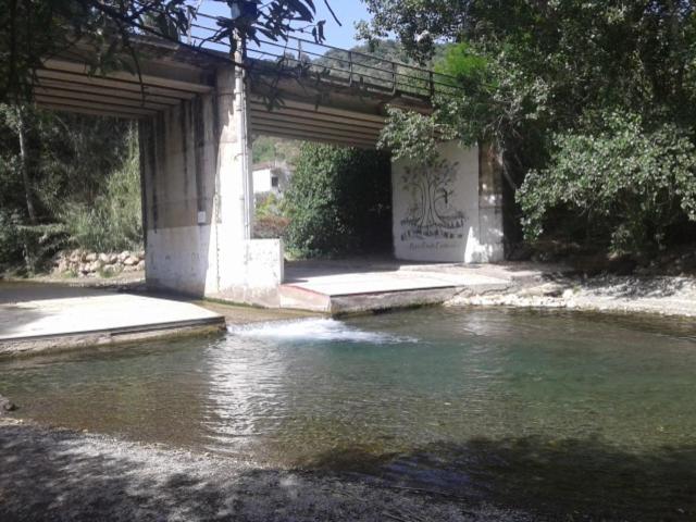 Genal 3*