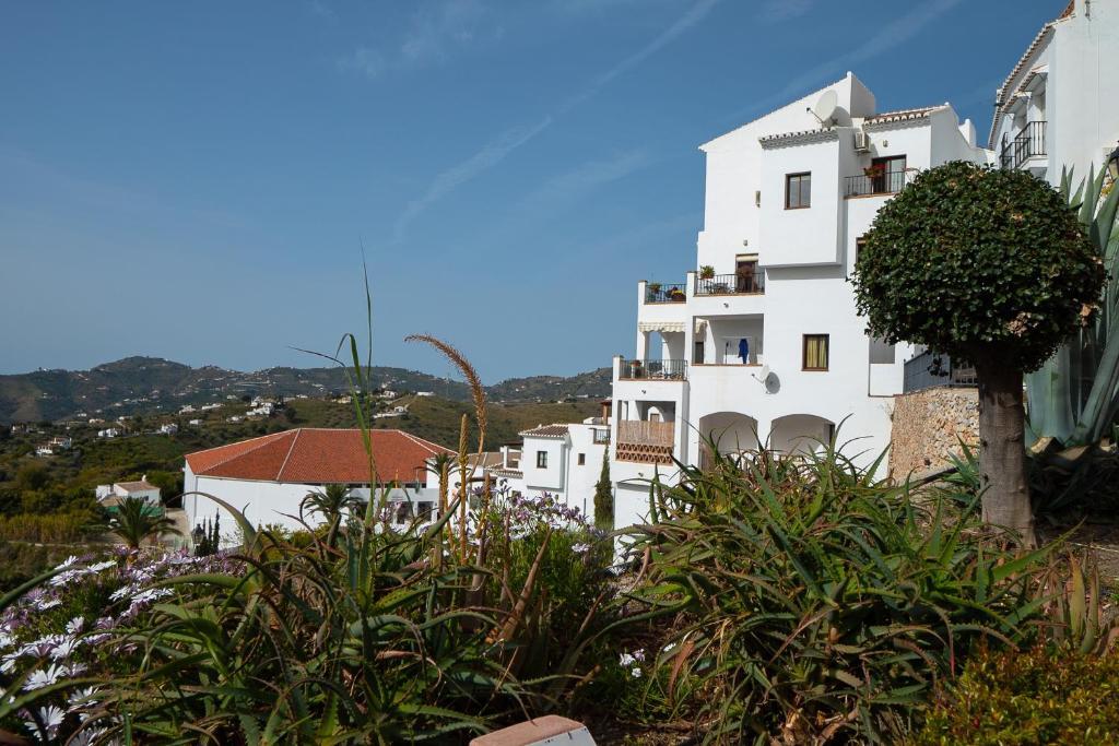 Bella Vista *