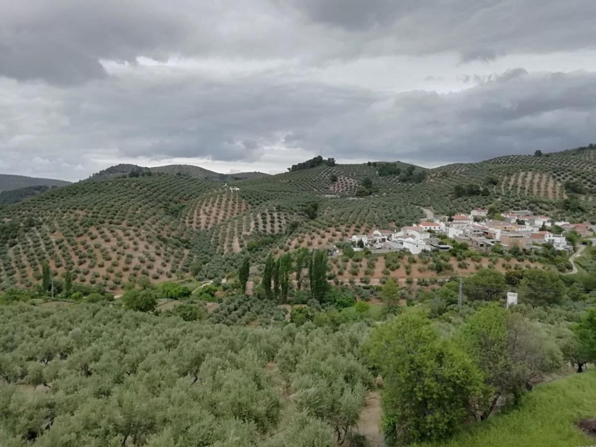 Holiday home El Almendro De La Tia Teresa Prados de Armijo