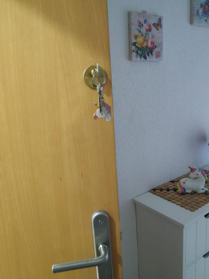 Homestay Privadas Centro