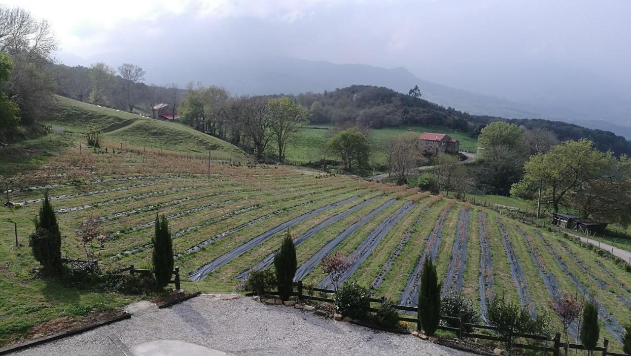 Elbosqueencantadocantabria Holiday home *