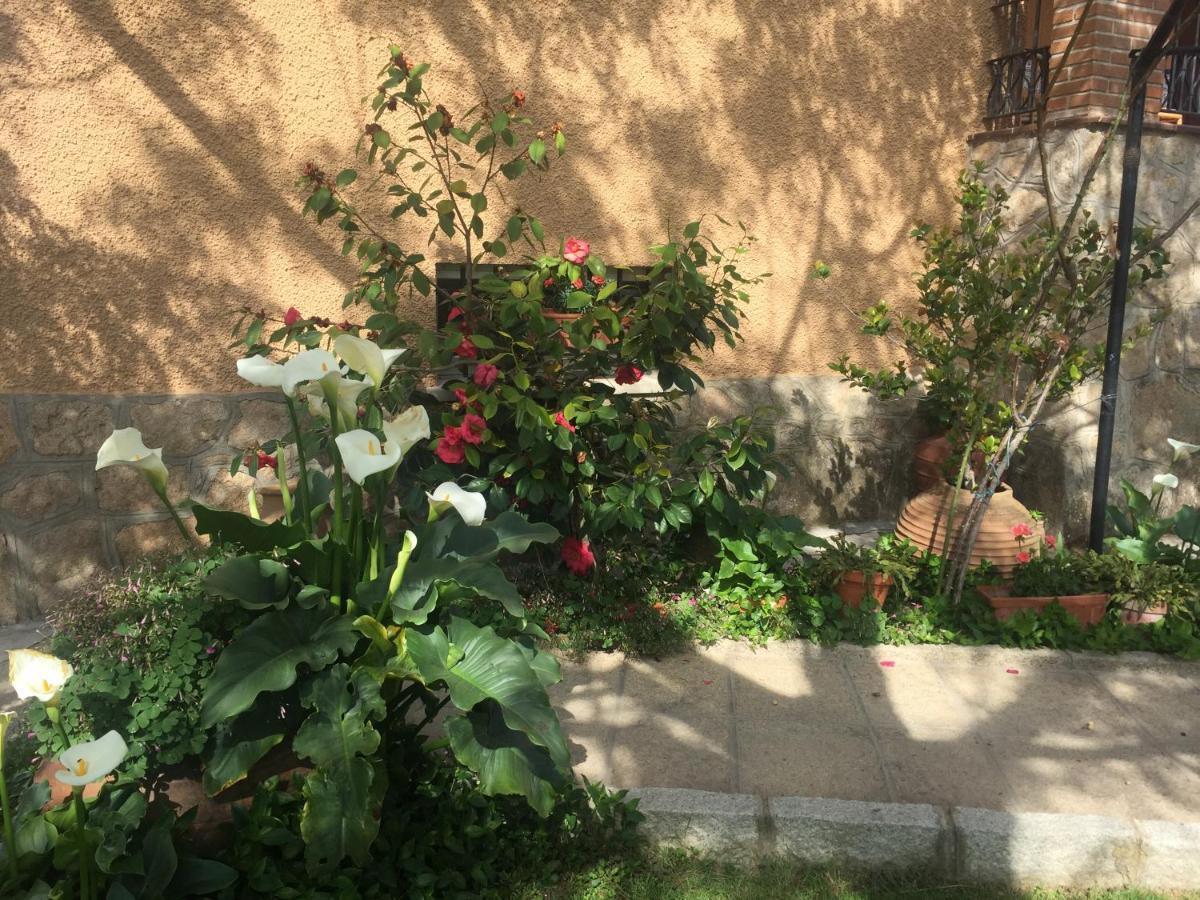 Erillas Holiday home *