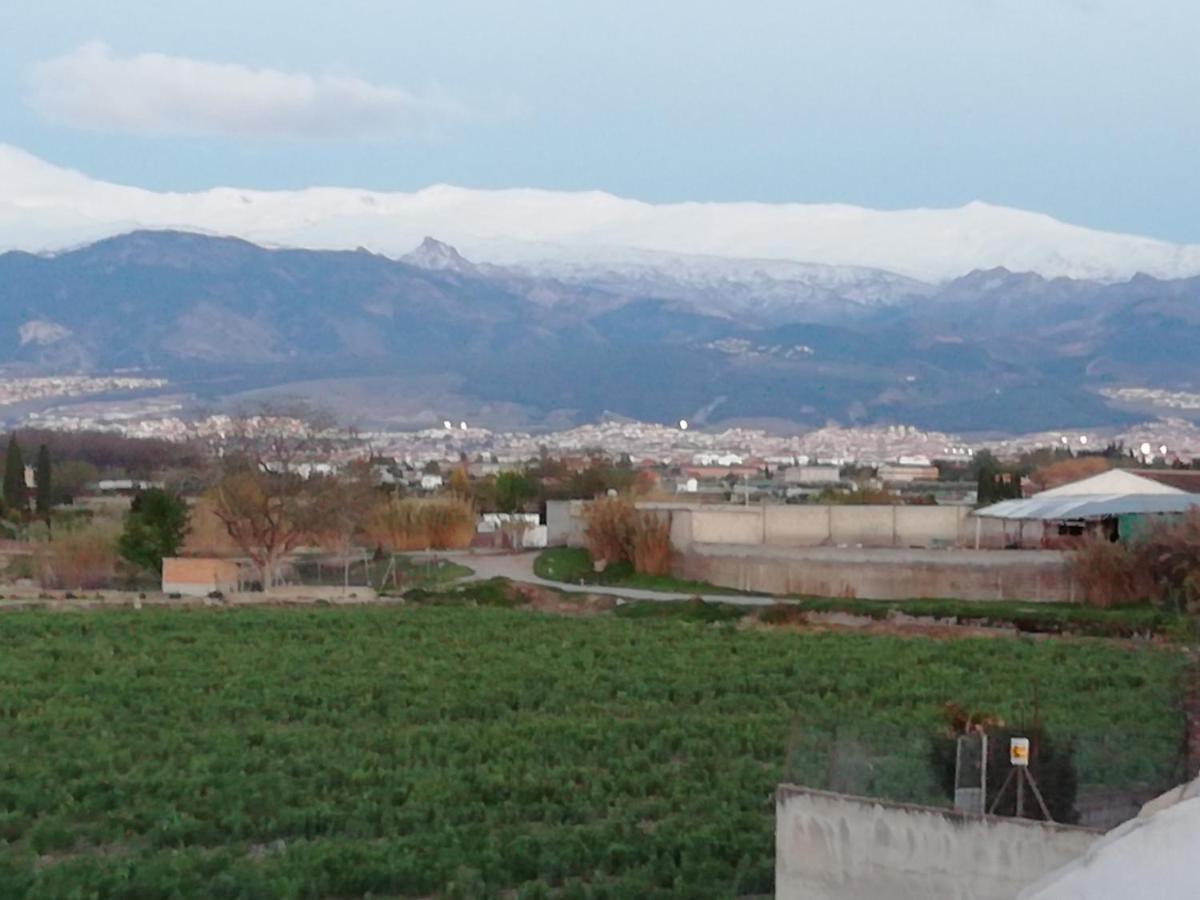 Apartamento La Vega De Granada *