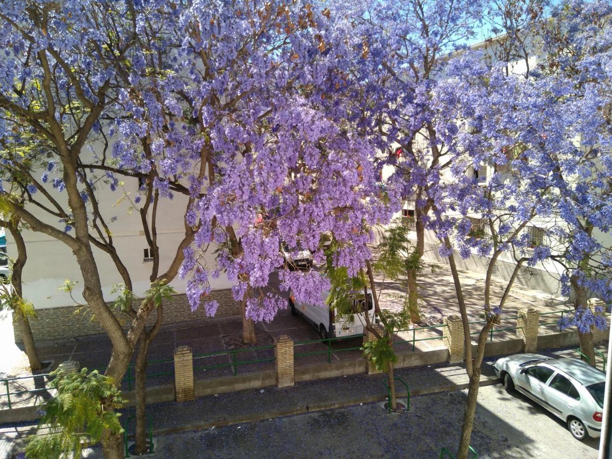 El Apartamento Coqueto De Marisa *