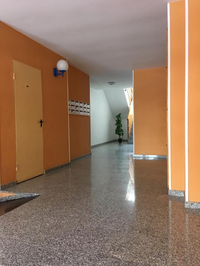Apartment Apartamento Acequion