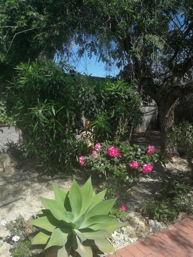 Casa rural San Diego, Entera Ti