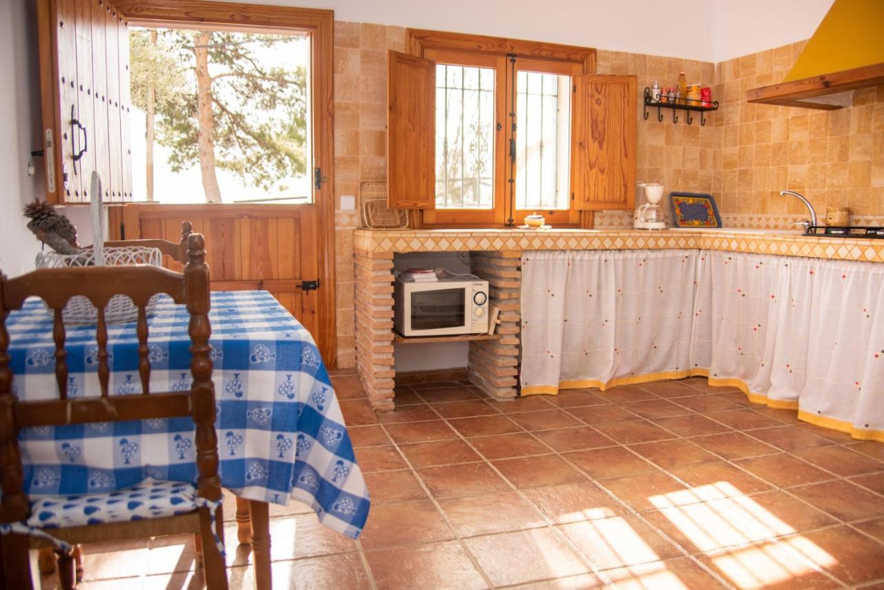 Casa Cueva Salamandra Pozo Alcón
