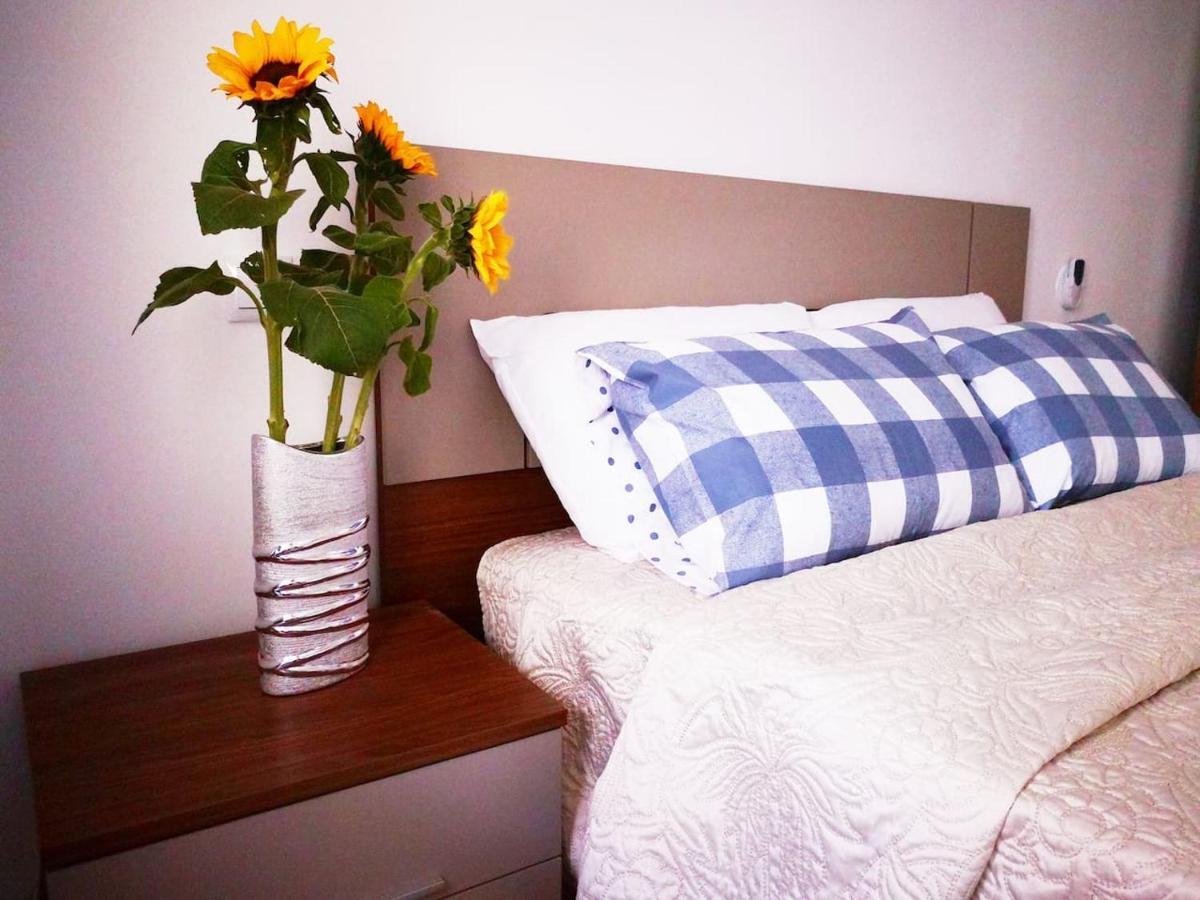 3 Bedroom 150 M From The Torrevieja