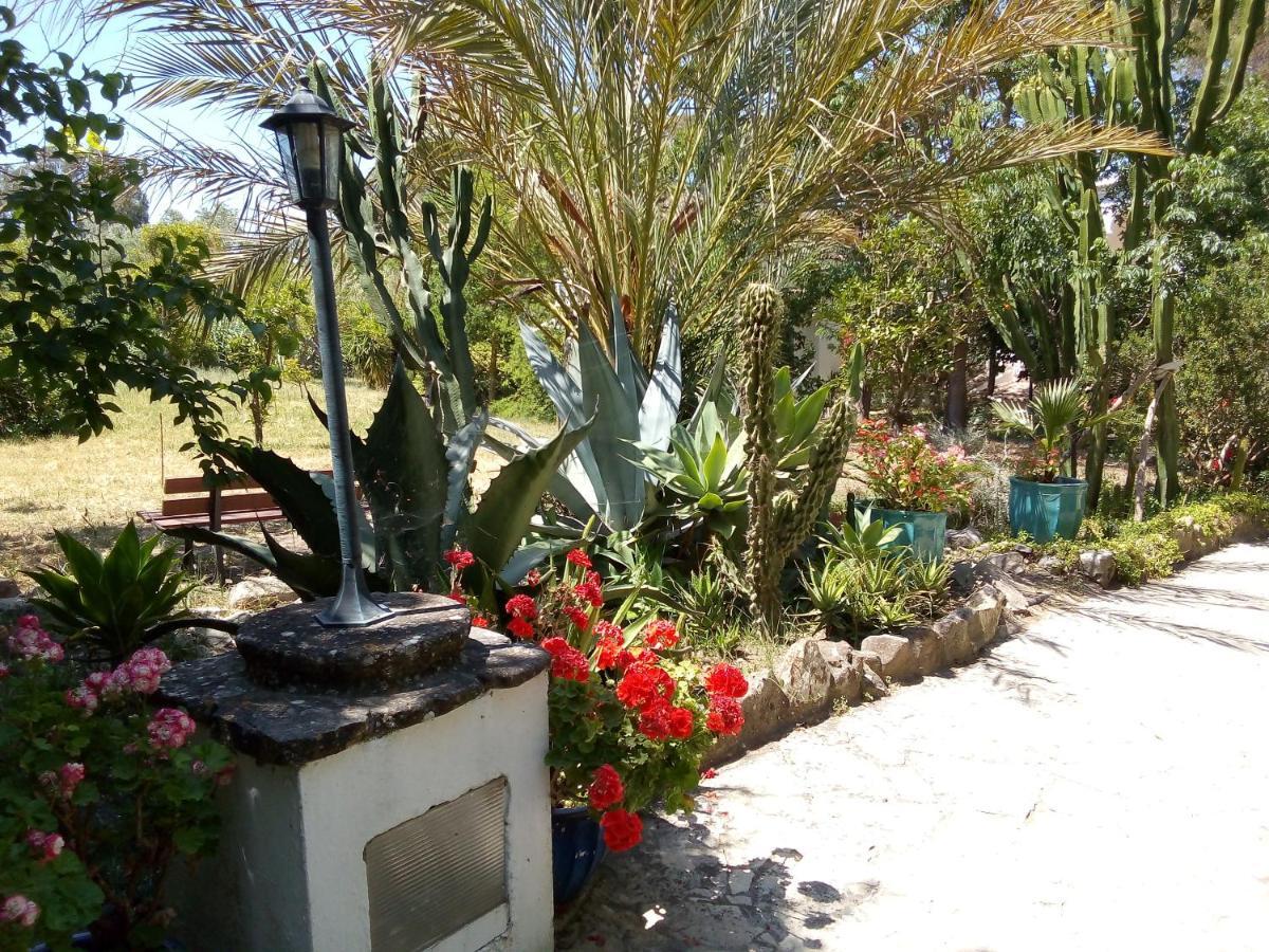 San Ambrosio Apartamento Vejer de la Frontera