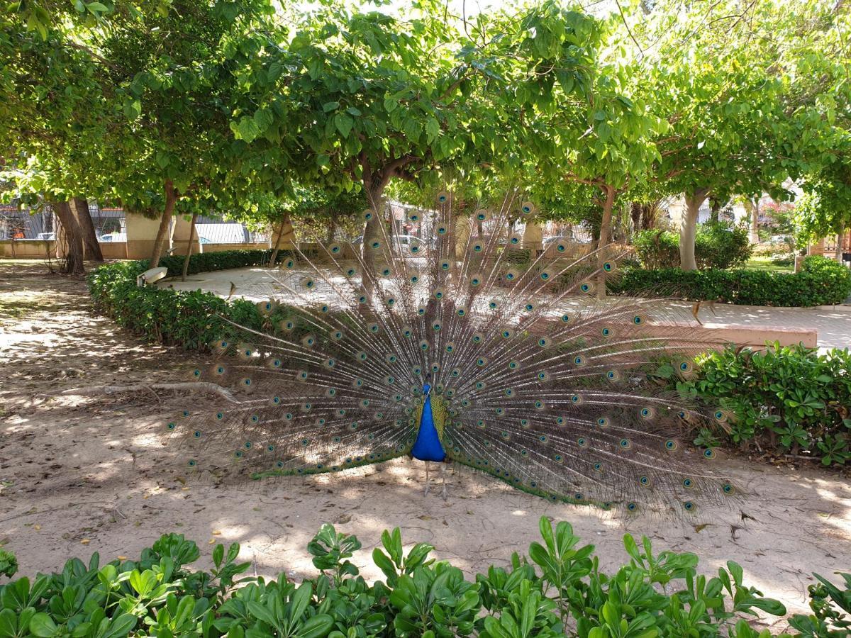 New La Zenia Beach & Golf * Oriola (Orihuela)
