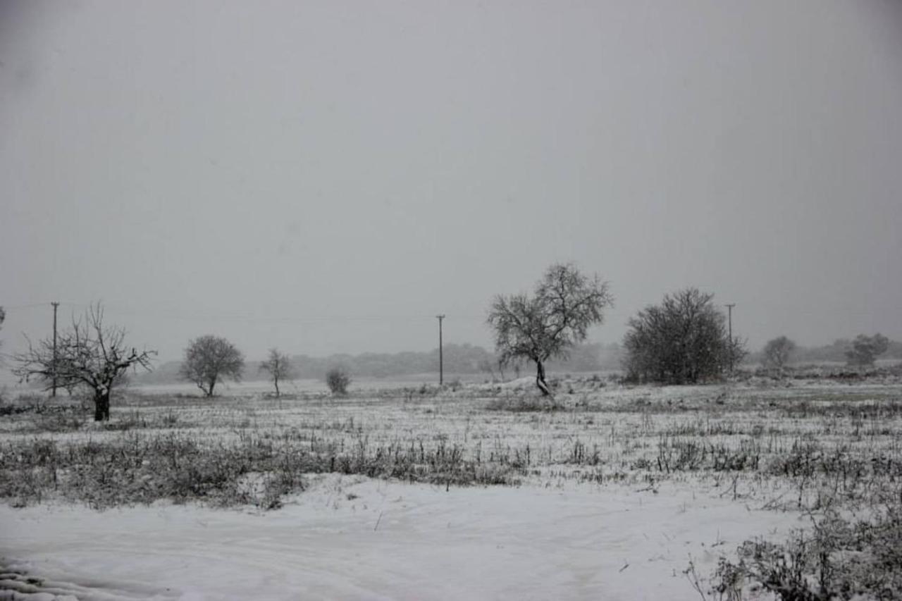 Fontellas-ayerbe Fontellas (Aragon)