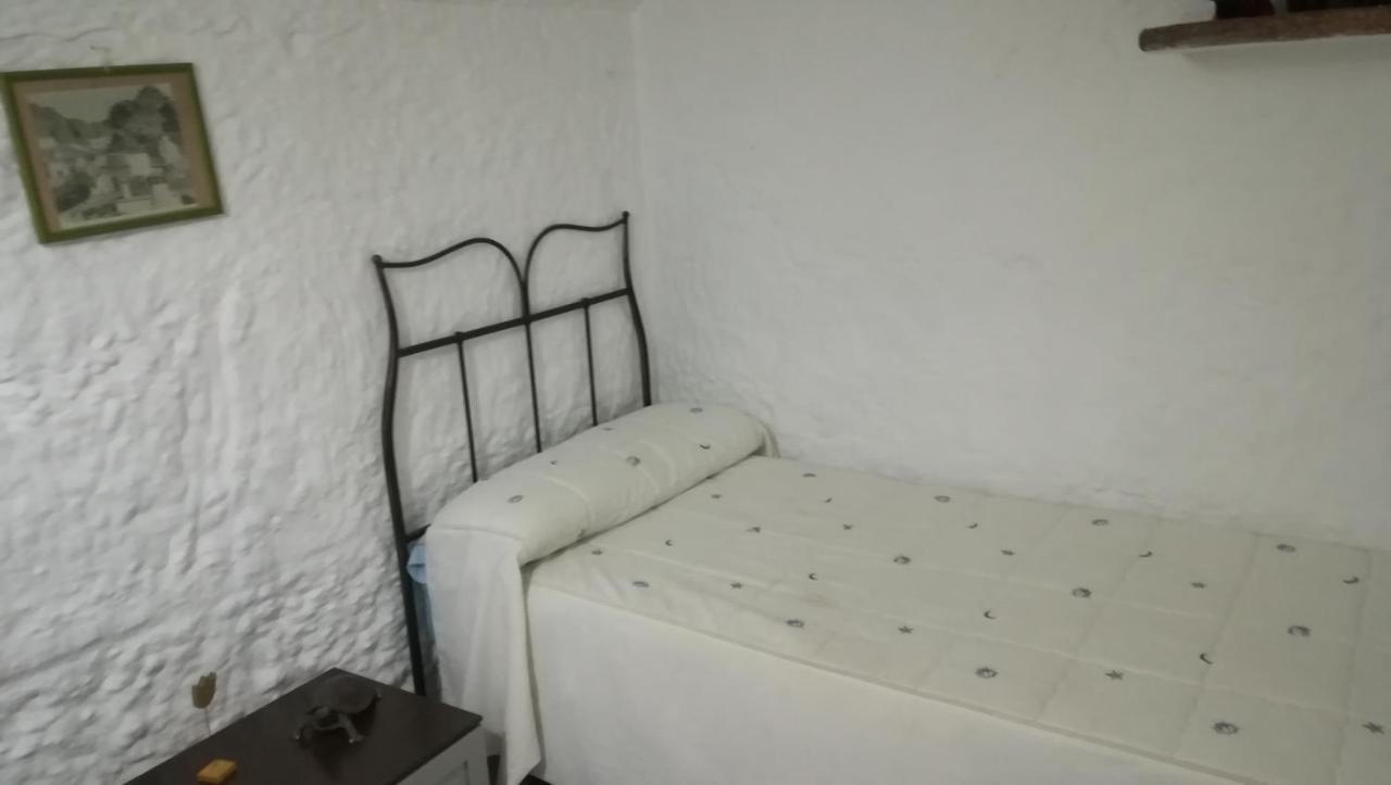Camping Casa Cueva El Algarrobo *