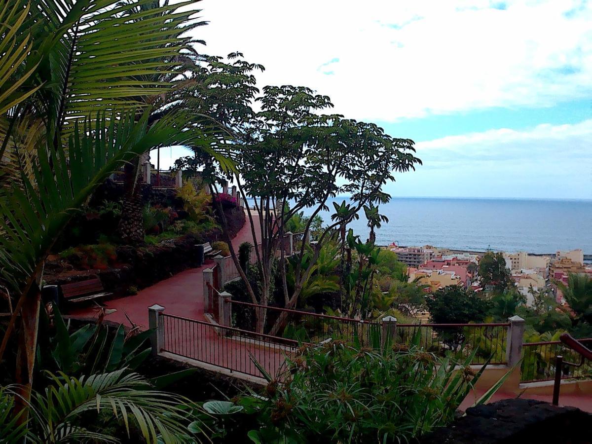 Apartamento Estudio Brillante, Confortable Y Agradable Puerto de la Cruz (Tenerife)