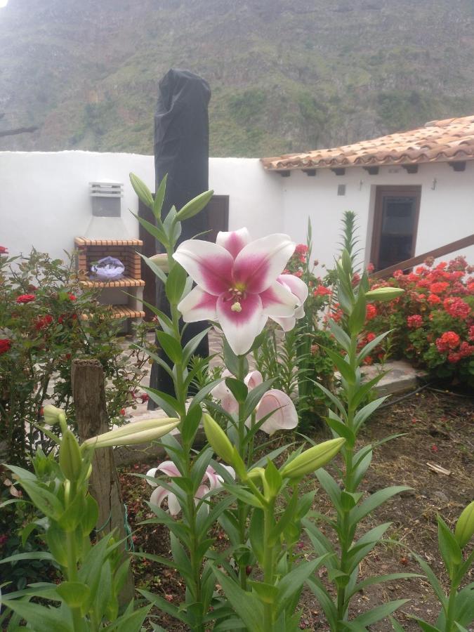 Casa La Plaza Holiday home *