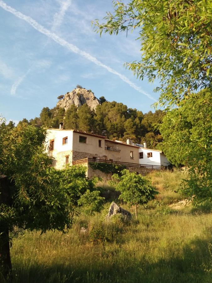 Mas De Pau *