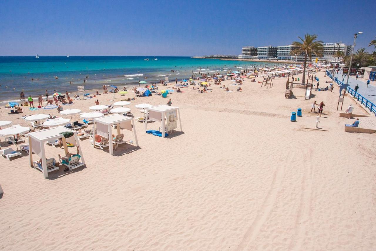 Large With Large And Sunny Terrace - Garden & Outdoor Gym , Center Apartamento Alicante