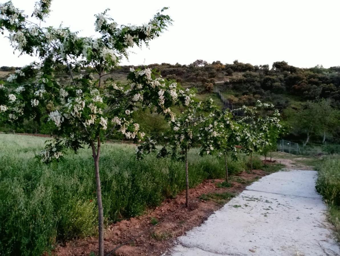 Apartamento Alojamiento La Gitanilla