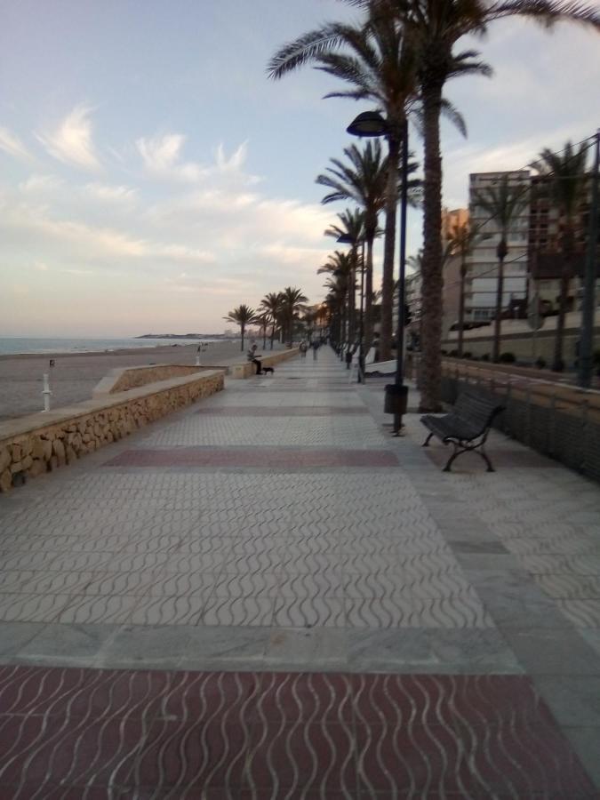 Voramar Primera Linea De Mar Apartamento *