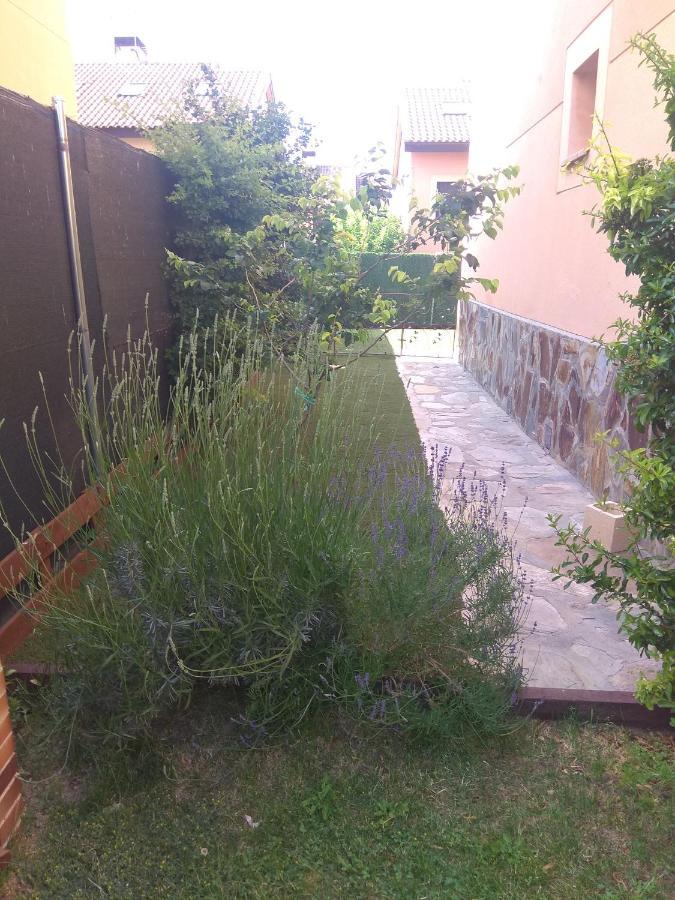Casa Any Holiday home *