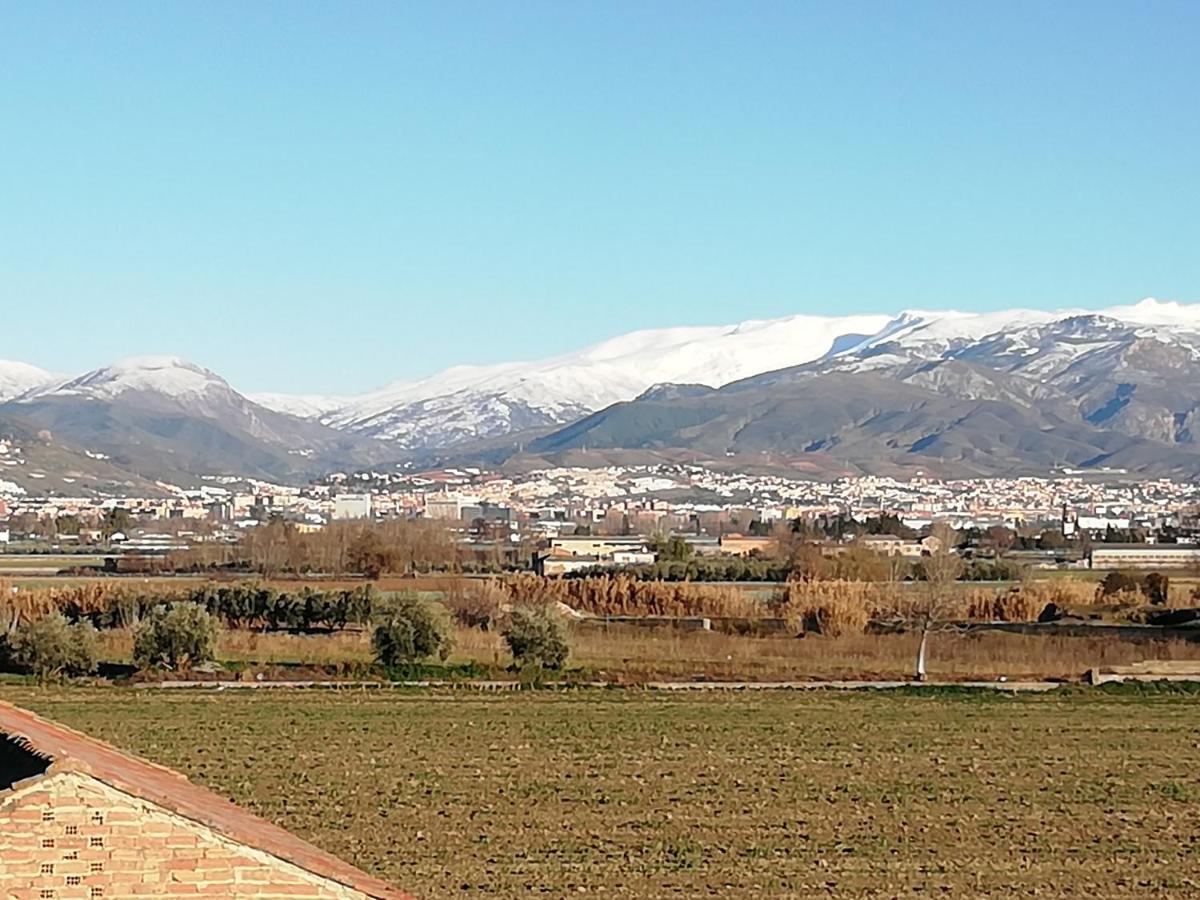 Apartamentos La Vega De Granada Apartment Ambroz