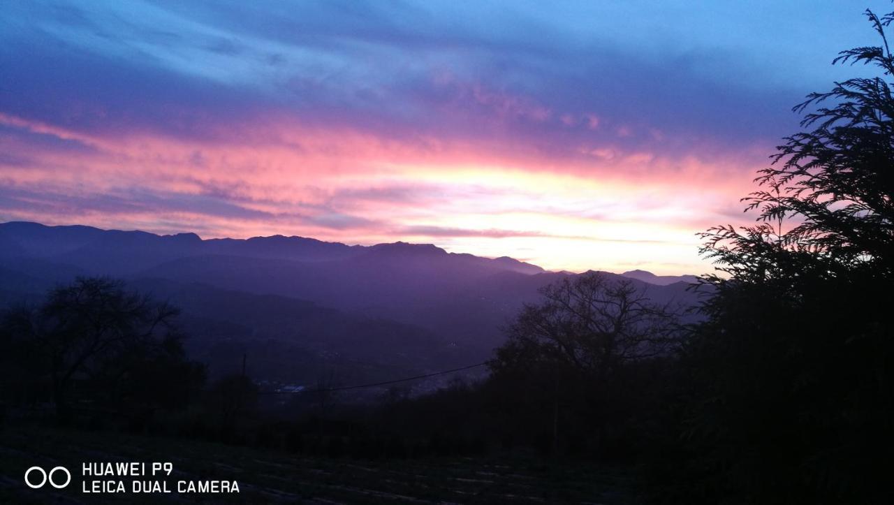 Elbosqueencantadocantabria Holiday home