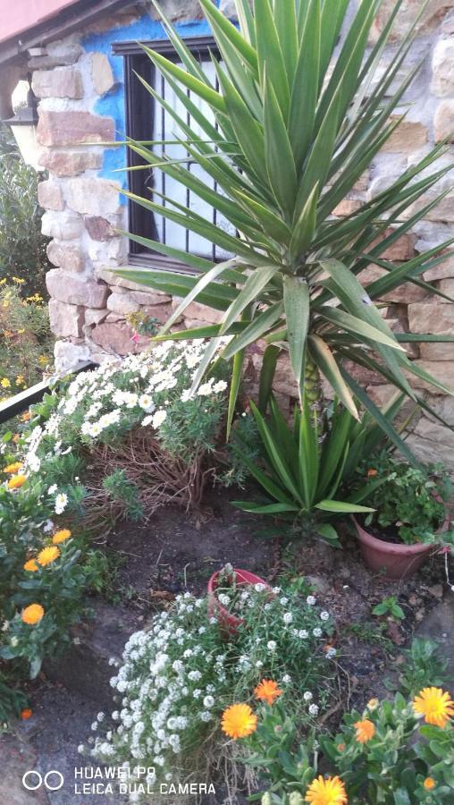 Holiday home Elbosqueencantadocantabria *