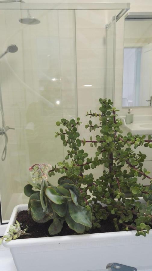 Beautiful Arrieta Apartamento *