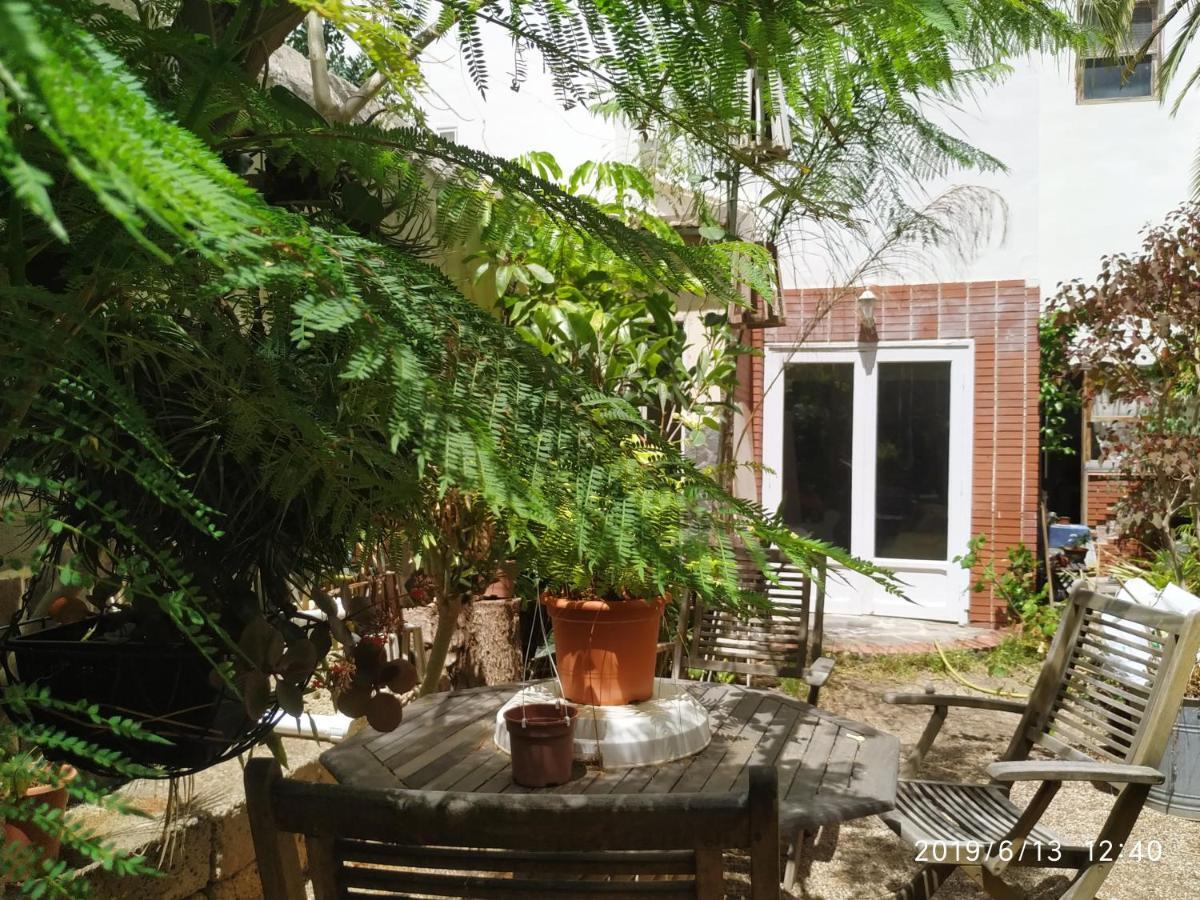 Apartment Benavides 5