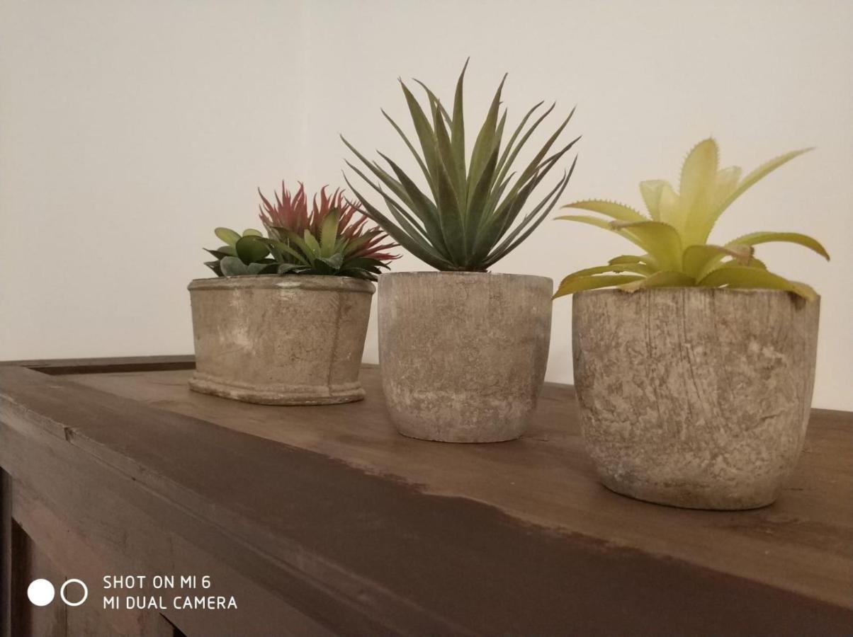 Apartamento Solaz Del Ambroz-hervas