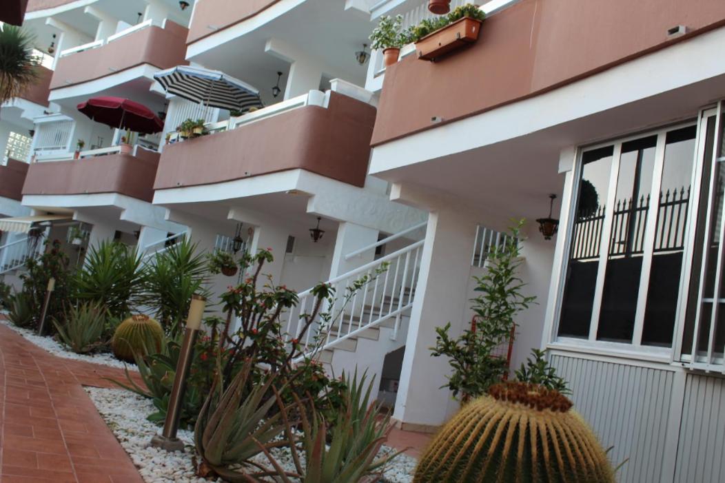 Apartamento Bonito 109