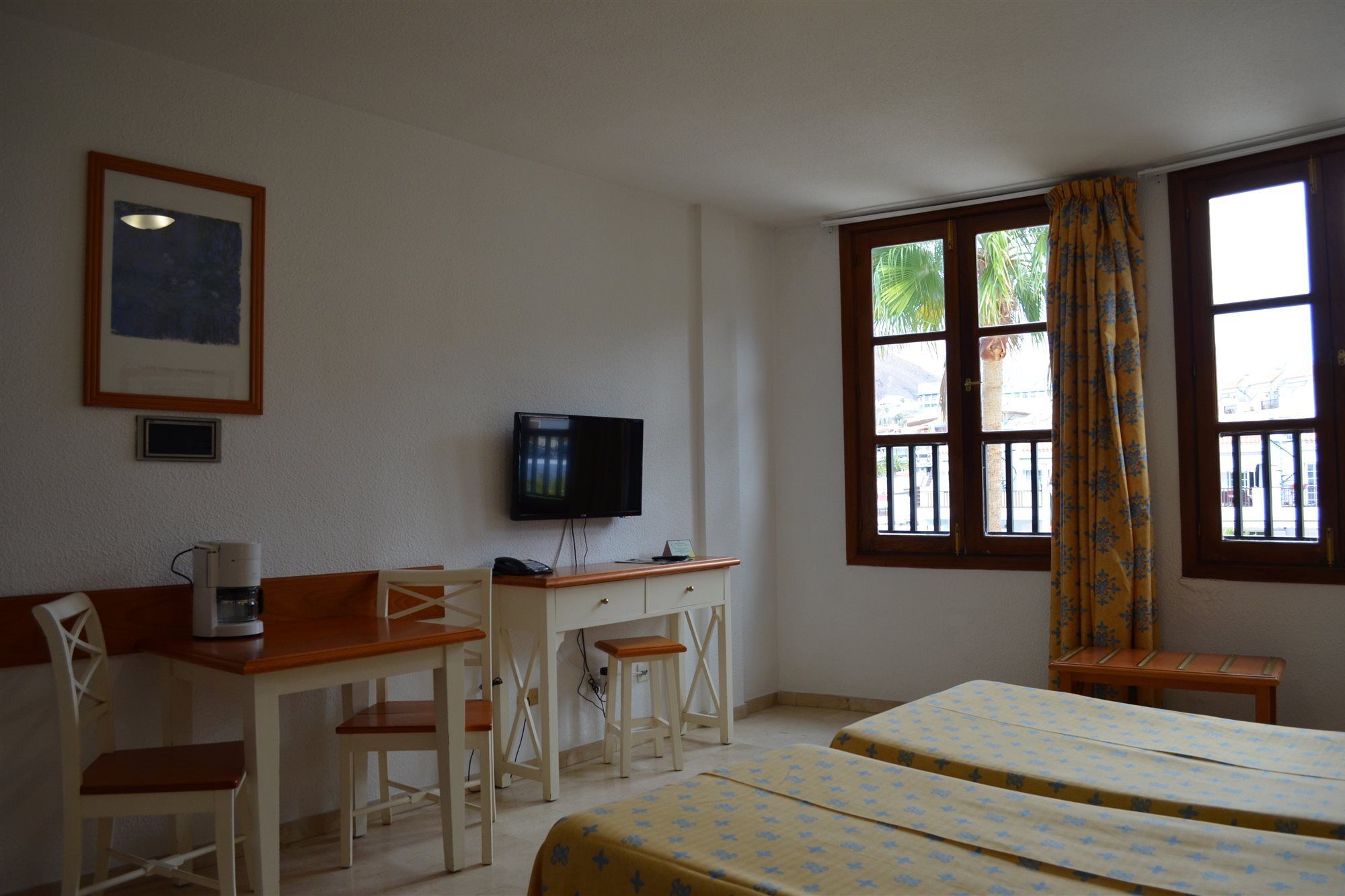 Klayman Olivina Los Cristianos (Tenerife)