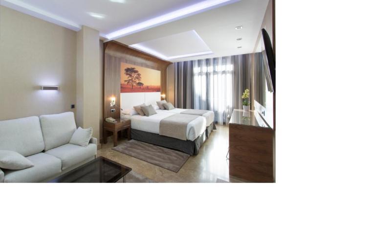 Hotel Vp Jardin De Recoletos 4*
