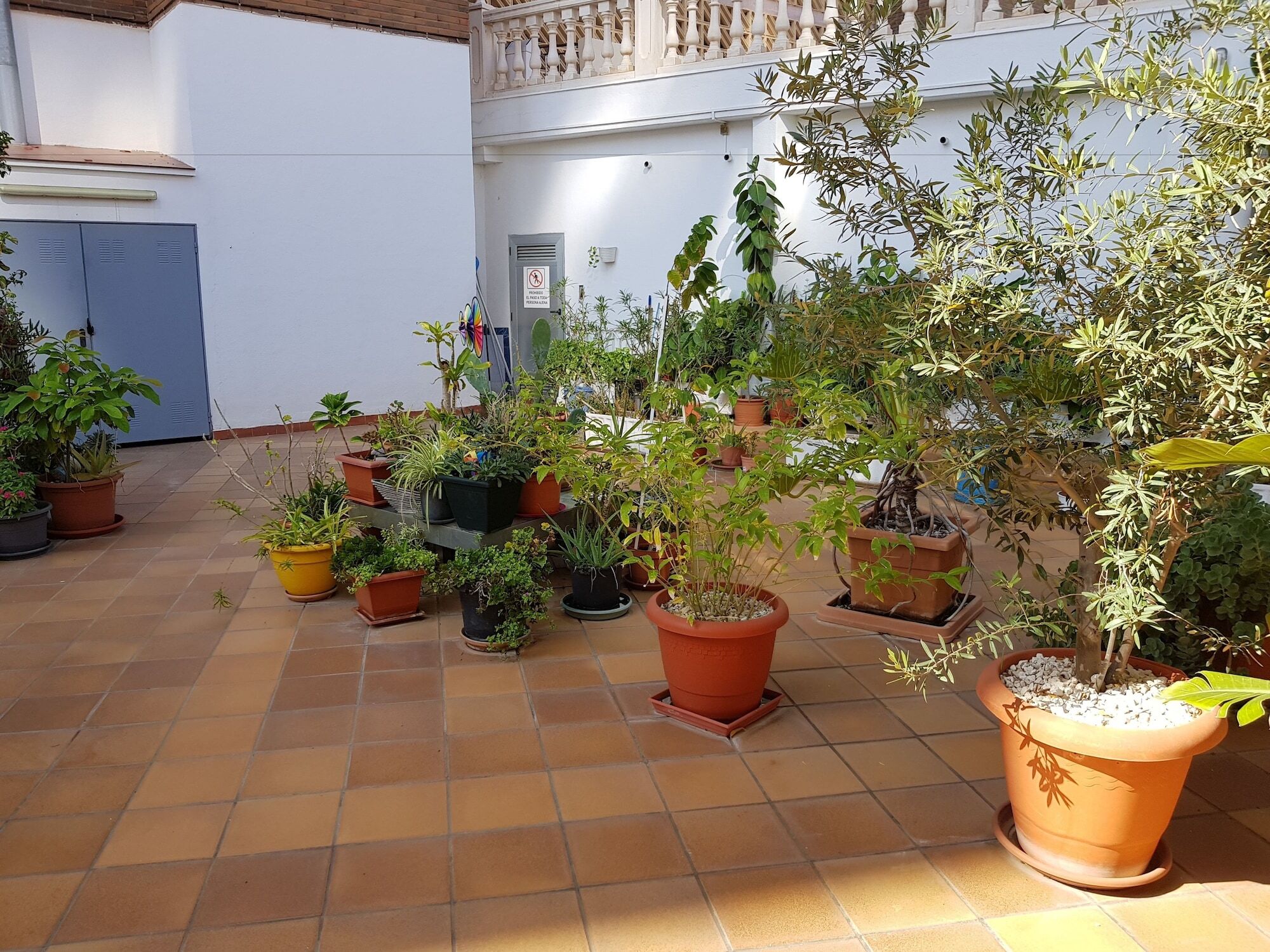 Beferent Torreprincipado Benidorm