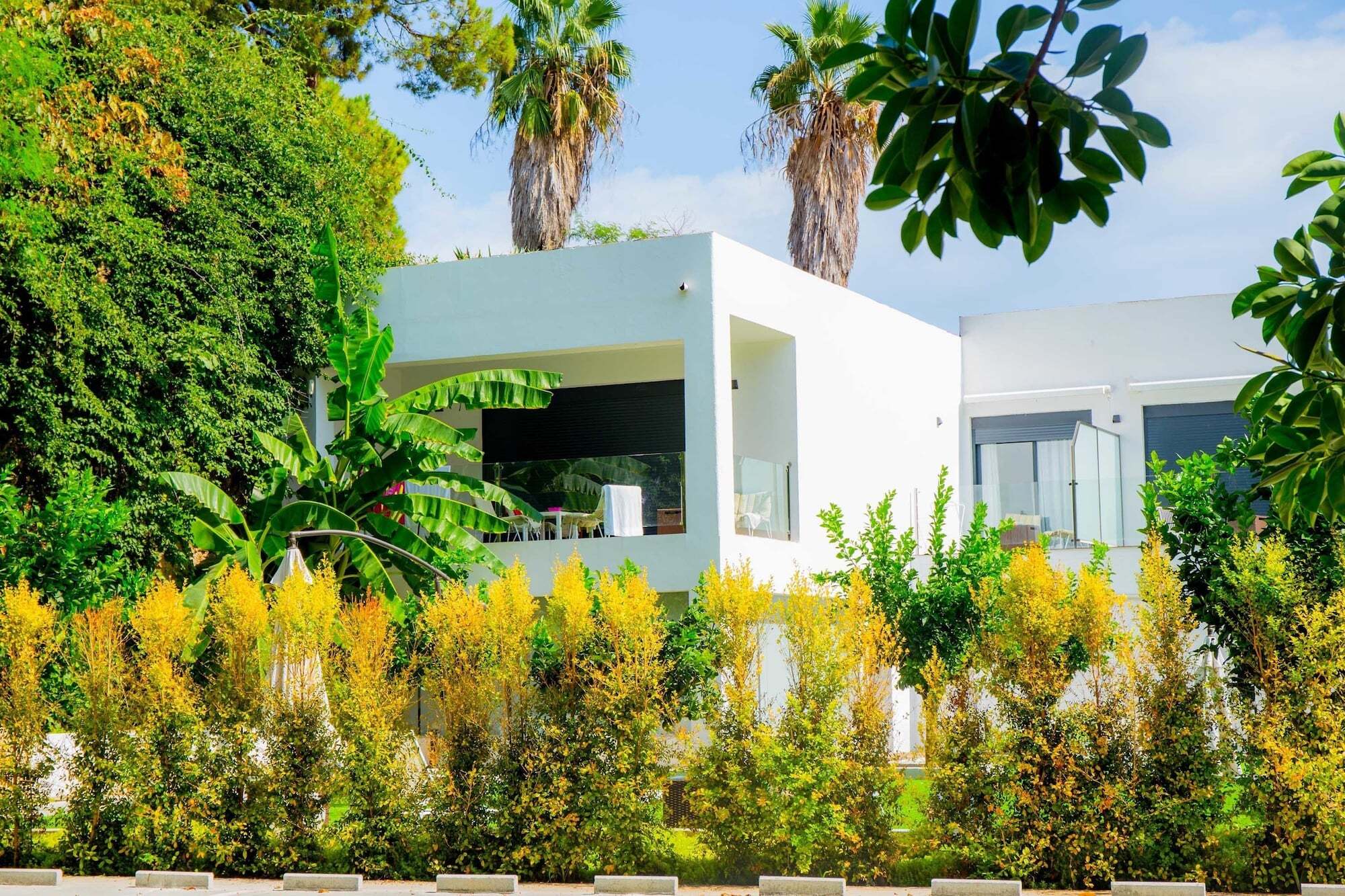 Dimona * Torremolinos